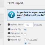 eCommerce Import options